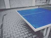 FB体育官方网站-法国乒乓球队险胜奥地利乒乓球队，许昕送出助攻，点燃全场激情