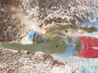 FB体育下载-年度焦点之战，公牛逆袭，爆冷击溃黄蜂