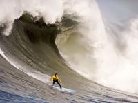 FB体育网页版-总决赛之夜，拉亚的统治，当数据成为传奇