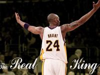 FB体育APP-浙江风暴席卷辽宁，克莱式统治力诠释篮球新维度