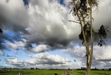 FB体育在线-FLY碾压TL，Uzi开启传奇时刻峡谷大战小组赛，技惊四座的简单介绍