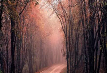 FBsports-皇马逆转惊魂未定，英超内卷雪上加霜！三线争霸，谁主沉浮？